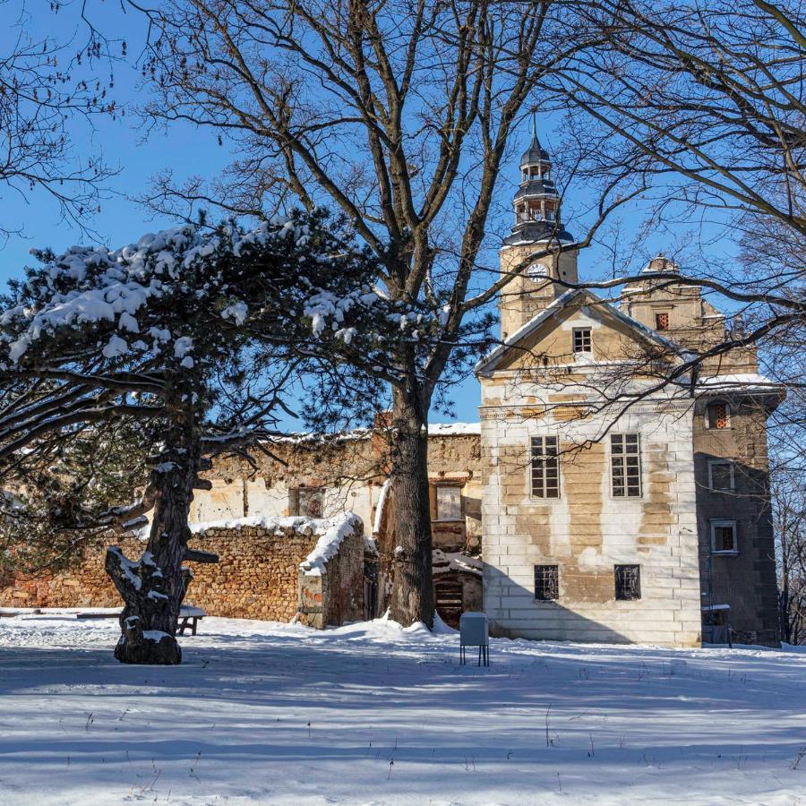 Palac Gorzanow Екстериор снимка